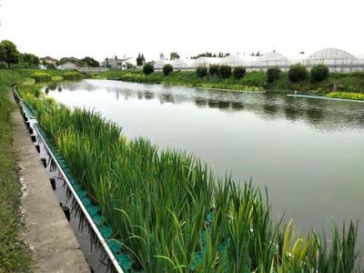 宝山这里多措并举推进水环境治理,打造美丽乡村幸福河